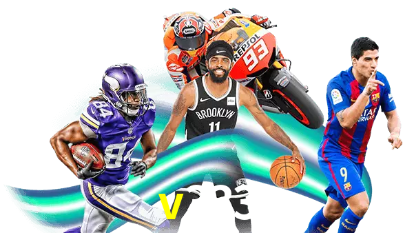 v333