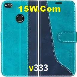 Login Seguro v333
